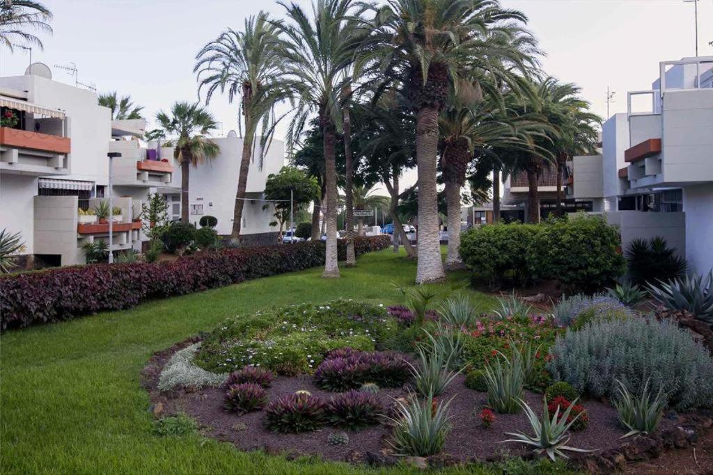 Tenerife Primavera Arona  Exteriér fotografie